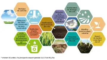 intercultures cipan